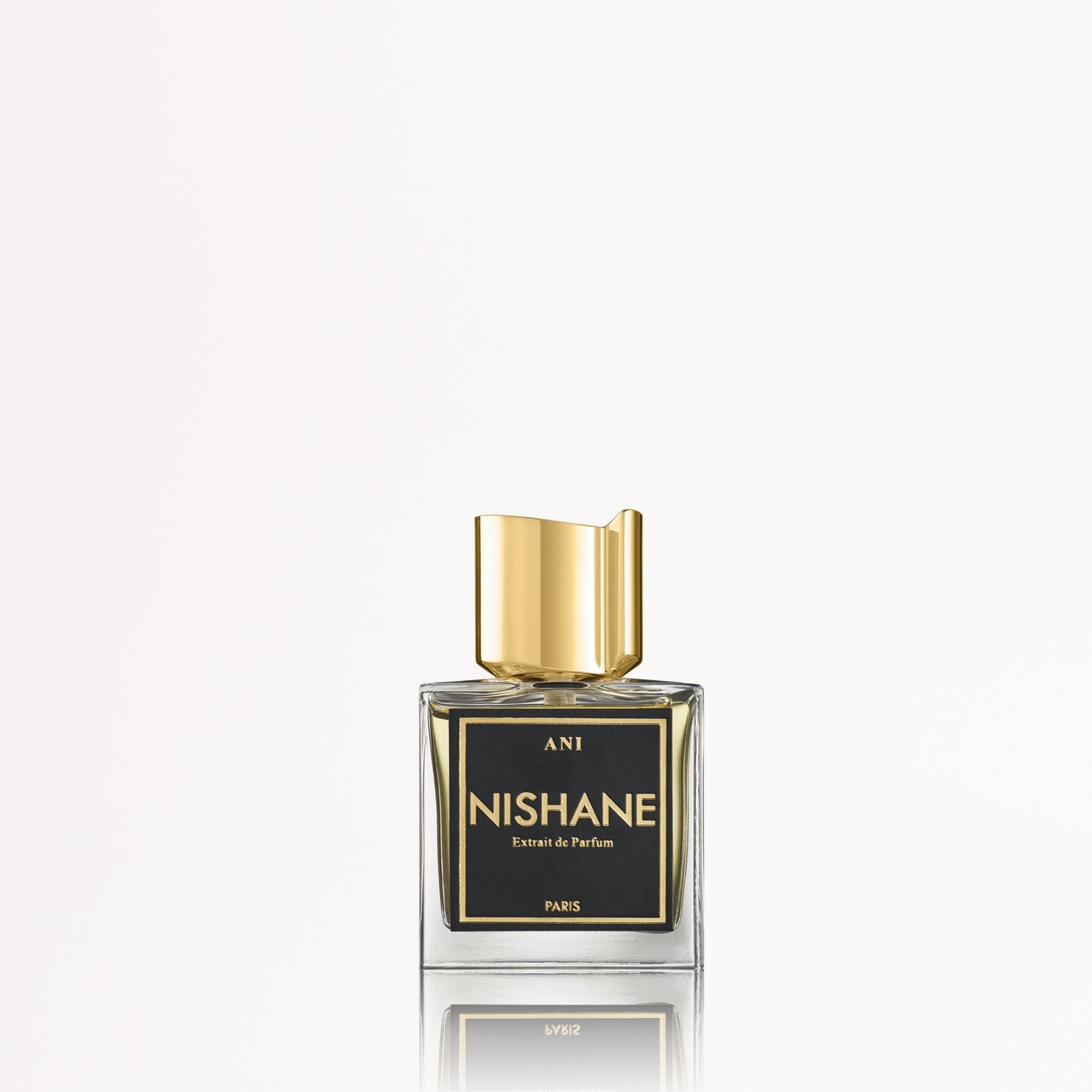 Nishane Ani Travel Spray 5ml